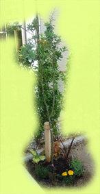 c0139591_22523090.jpg