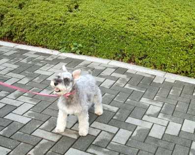c0138198_2036231.jpg
