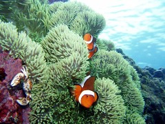 e0023100_18593465.jpg
