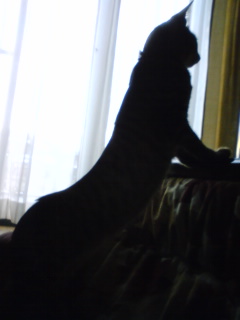 c0170905_455654.jpg