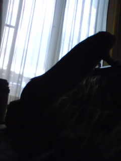 c0170905_510675.jpg