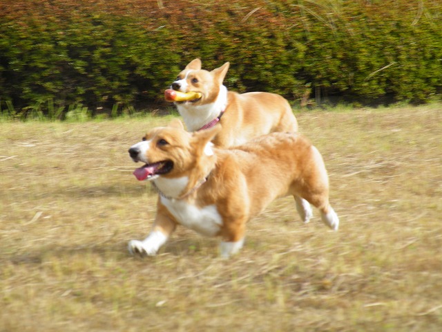 c0127617_13493212.jpg