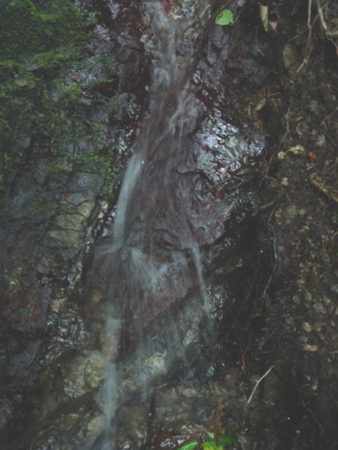 b0131724_0958.jpg