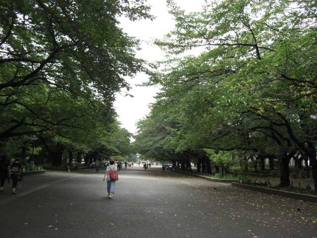 d0005632_19362858.jpg