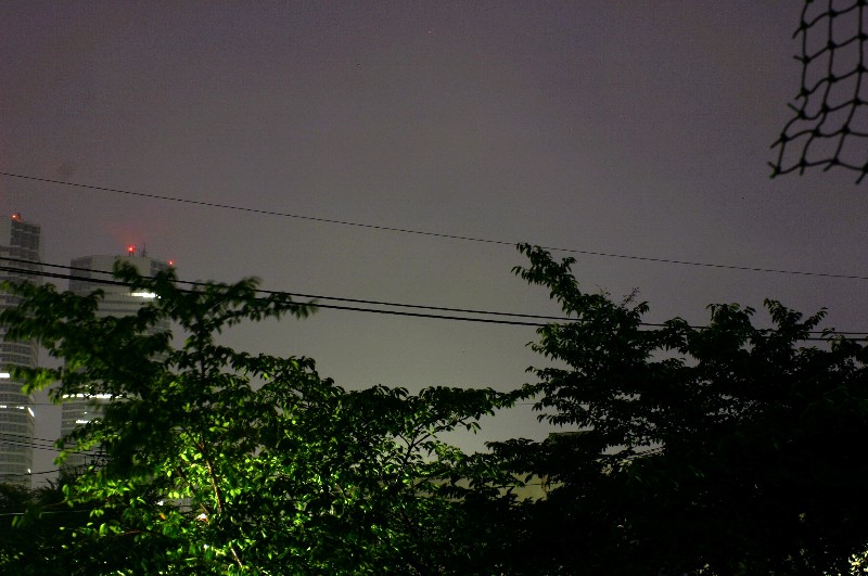 b0012636_14242463.jpg