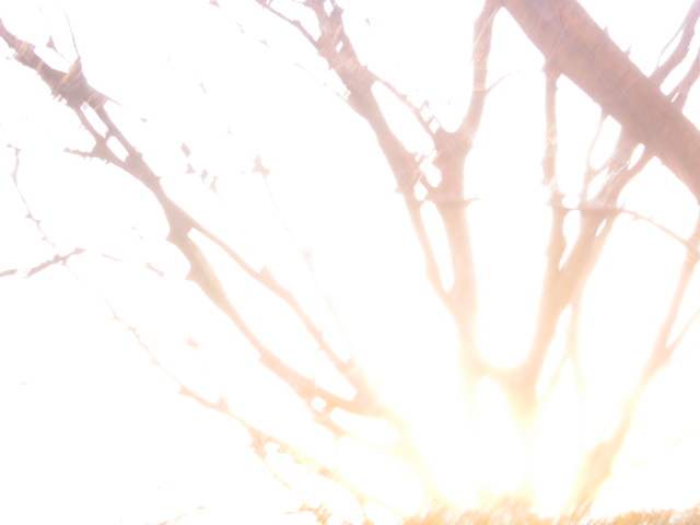 a0095337_1134779.jpg