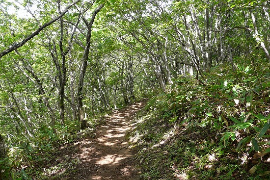 f0003138_14114938.jpg