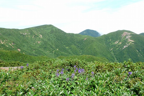 f0003138_1430627.jpg