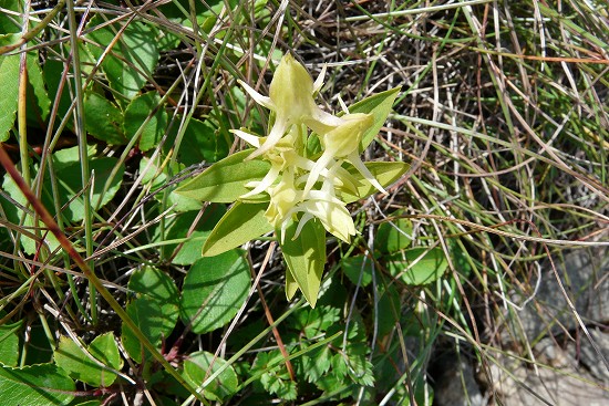 f0003138_1445161.jpg