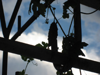 f0143445_21414072.jpg