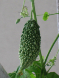 f0143445_21425541.jpg