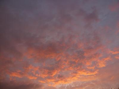 d0046248_2094054.jpg