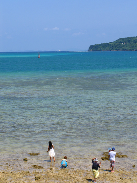 b0049152_17445751.jpg
