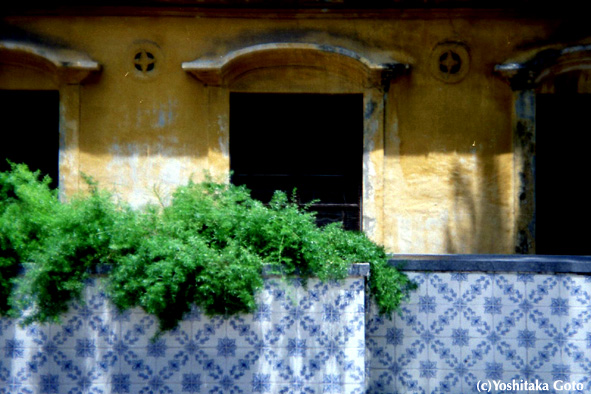 f0013652_21534814.jpg