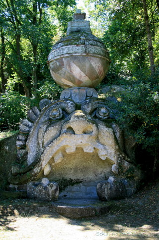 f0077159_11372.jpg