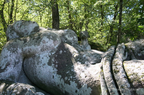 f0077159_145712.jpg