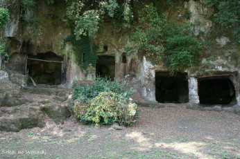 f0077159_5275325.jpg