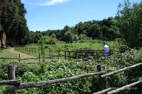f0077159_5365273.jpg