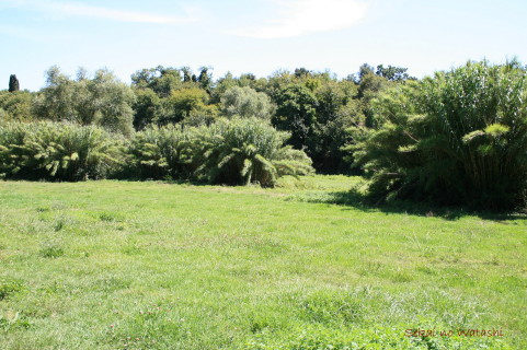 f0077159_5374371.jpg