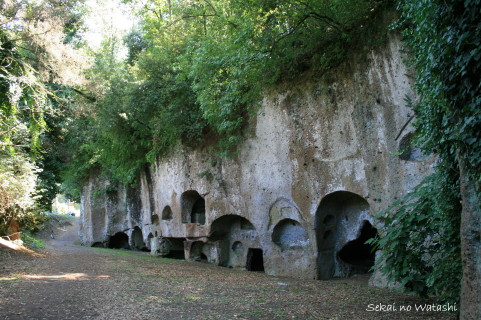 f0077159_5452111.jpg