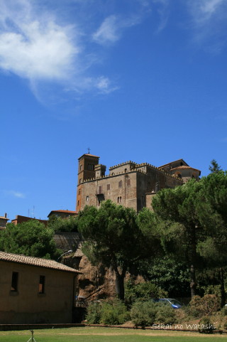 f0077159_585238.jpg