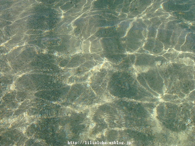 a0067962_9253341.jpg