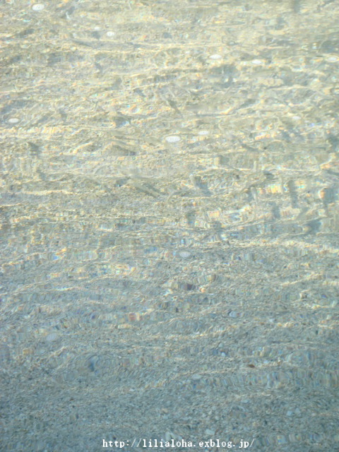 a0067962_9255068.jpg