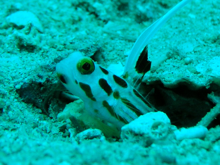 b0062363_20492170.jpg