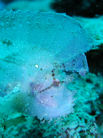 b0062363_20502447.jpg