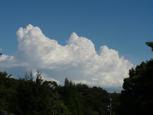 a0063364_23285929.jpg