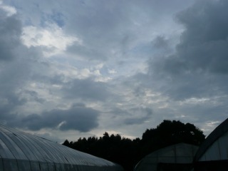 f0055264_212117.jpg