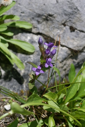 e0054067_22451155.jpg