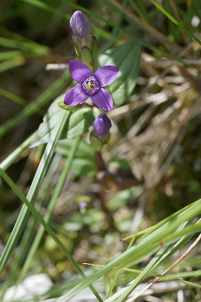 e0054067_22452112.jpg