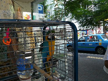 f0037467_22302370.jpg