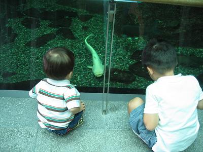 e0031568_1753221.jpg