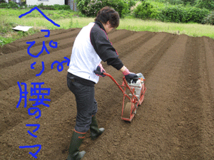 d0050871_1812334.gif
