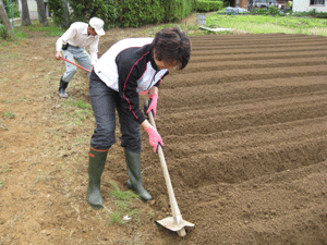 d0050871_18124835.gif