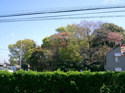 c0112172_22484082.jpg