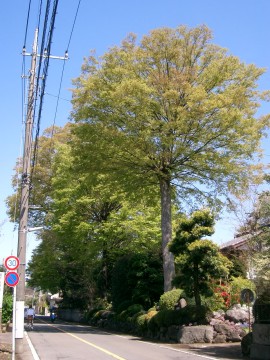 c0112172_22491880.jpg