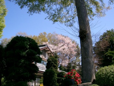 c0112172_22492875.jpg