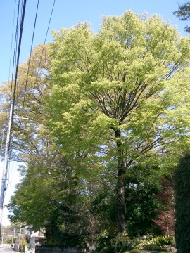 c0112172_22493958.jpg