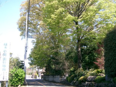 c0112172_22495128.jpg