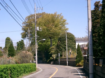 c0112172_2249672.jpg