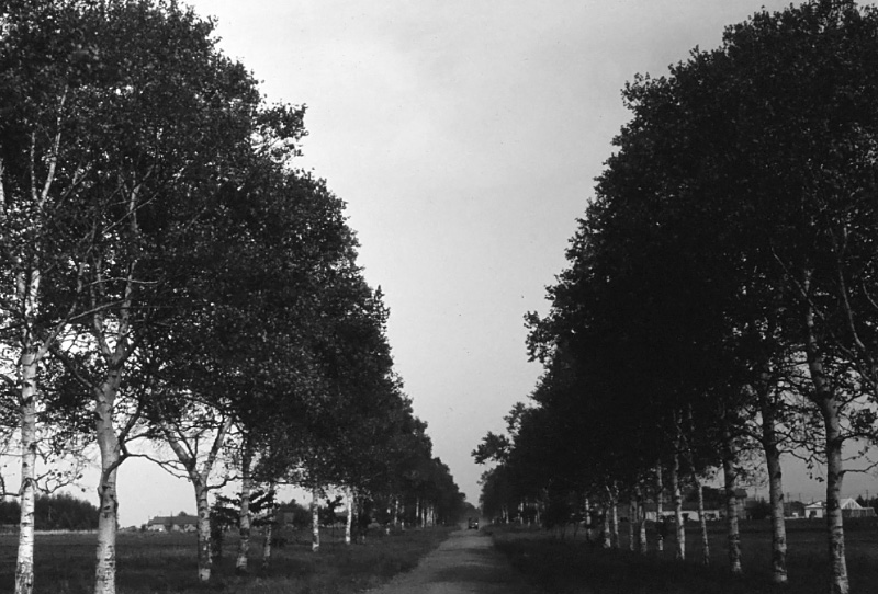 e0100772_21595031.jpg