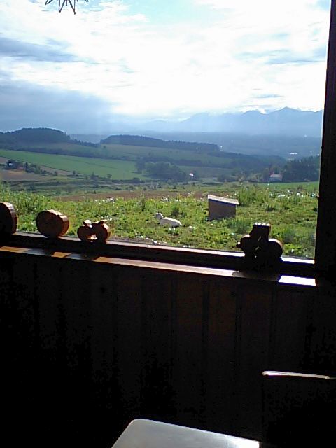 b0100973_1358255.jpg
