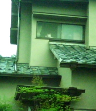 b0134673_232698.jpg