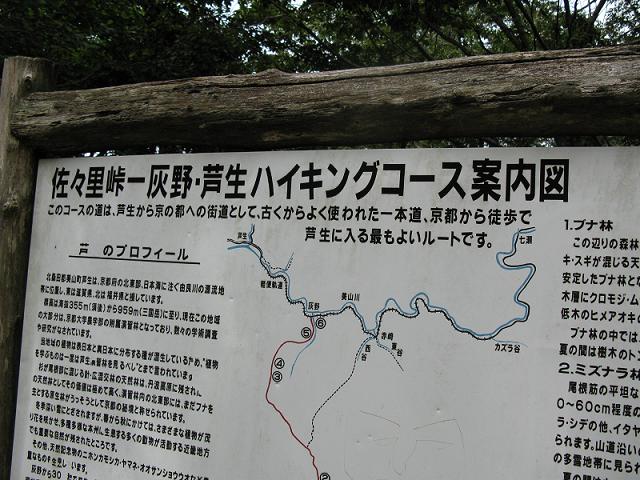 c0121975_1153714.jpg
