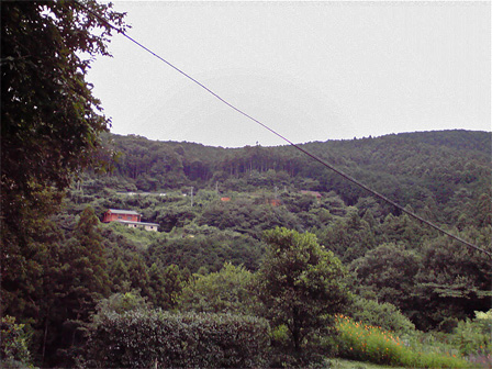f0089079_1383969.jpg