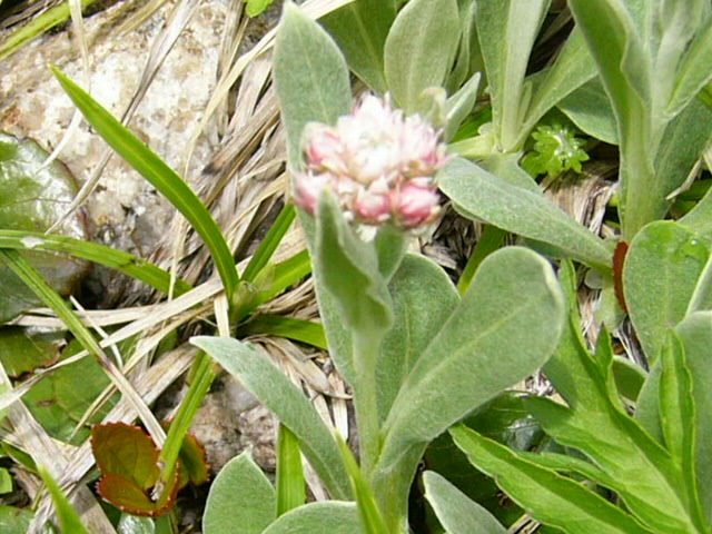 e0145782_1651543.jpg