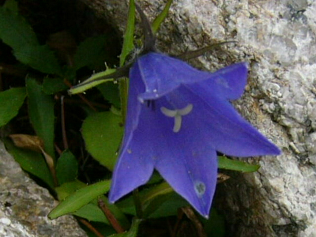 e0145782_16535558.jpg